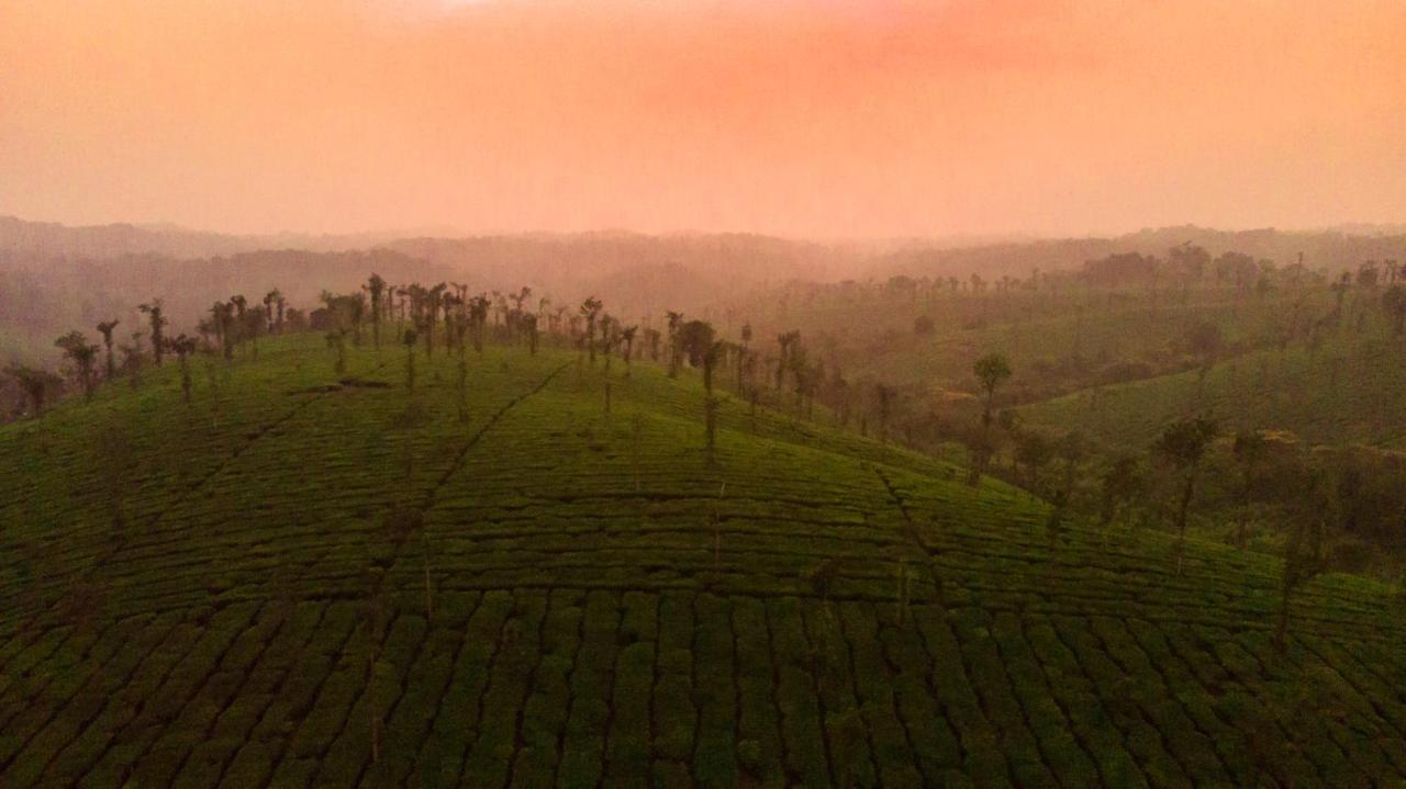 Ama Plantation Trails Coorg Villa Gonikoppal Ngoại thất bức ảnh